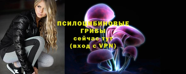 стафф Богородицк