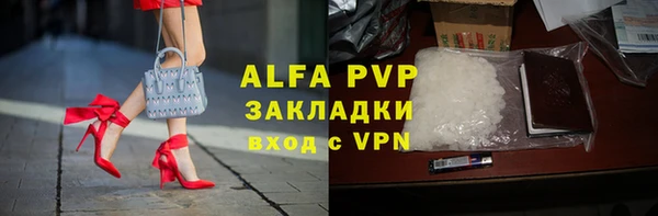 стафф Богородицк