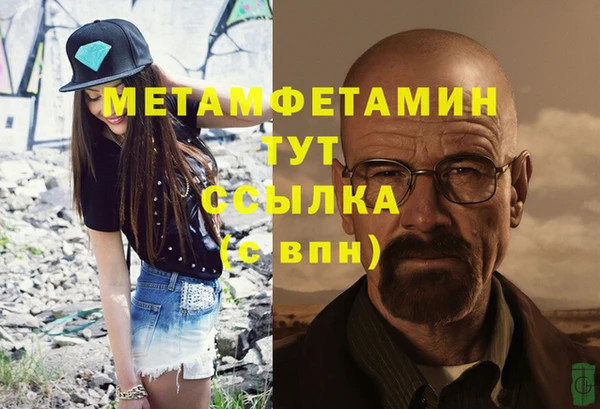 прущие грибы Богородск