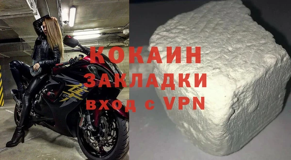 прущие грибы Богородск