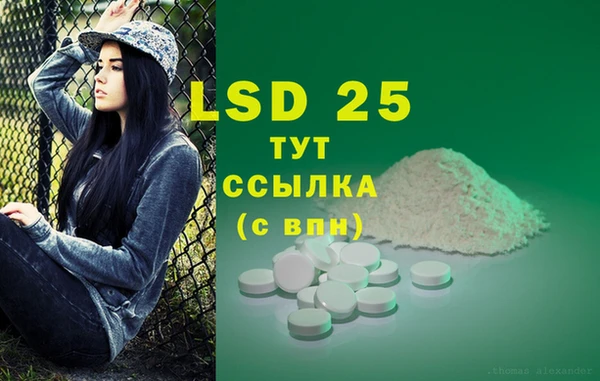стафф Богородицк