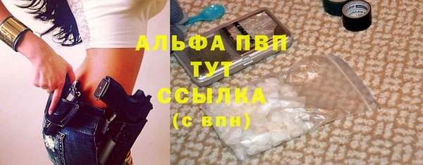 шишки Гусев
