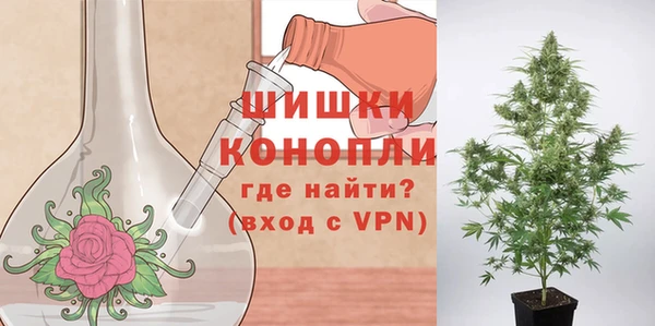прущие грибы Богородск