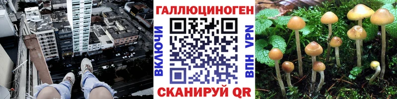 Галлюциногенные грибы MAGIC MUSHROOMS  Волчанск 
